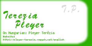 terezia pleyer business card
