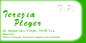 terezia pleyer business card